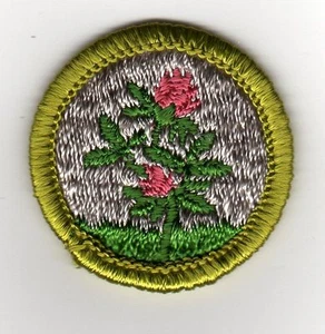 Retired - Forage Crops Merit Badge, Type H, Plastic Back (1972-1975), Mint! - Picture 1 of 1