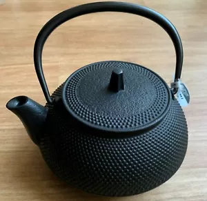 Iron Kettle Tea Pot Nanbu Tekki 0.65L 21.9oz Black baking Iwachu Kitchen Japan - Picture 1 of 12