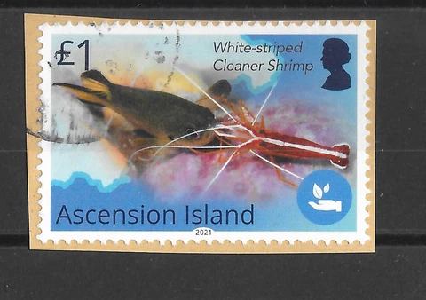 Ascension 2021 £1.00 Blue belt program Used on Piece Cover