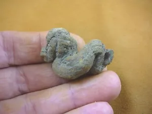 (PP462-47) 1-5/8" originale fossile TARTARUGA CACCA coprolite DUNG WEIRD WA stato doo - Foto 1 di 1
