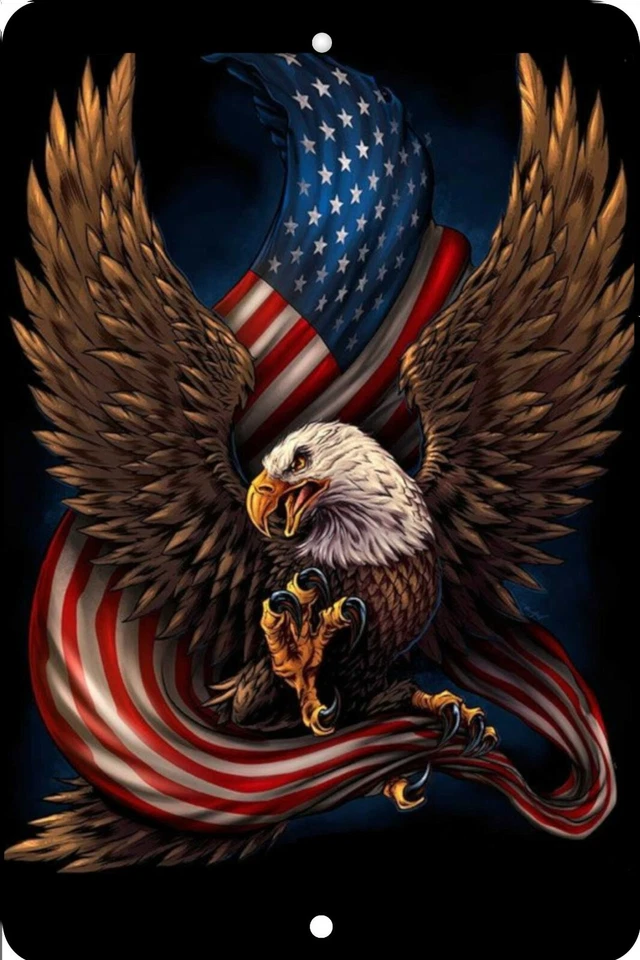 Флаг с американским орлом, подарок на день рождения, домашний знак, домашний декор металлический алюминий, США - Изображение 1 из 1