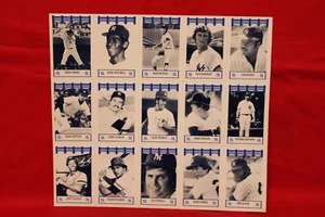 NYY NUEVA YORK YANKEE tarjeta mágica HOJA COMPLETA ORTIGAS MURCER MUNSON DULCE LOU PINELLA - Imagen 1 de 11