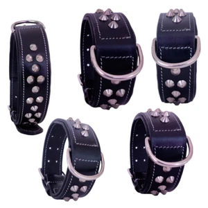 Shwaan Dog Collar Leather Studded Spiked Large Pitbull Spikes Sharp L 18" 22" - Picture 1 of 8