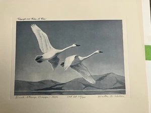 RW17 Federal Duck Stamp print- Trumpeter Swans Walter A Weber-1950 - Picture 1 of 2