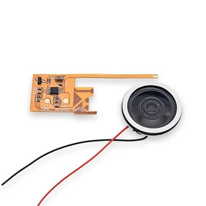 Drahtloser Verstärker / Audio Amplifier inkl. 1W Lautsprecher für Game Boy Co... - Foto 1 di 4