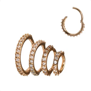 Cartilage Helix Ring Clicker Hinged Ear Segment Tragus Hoop Daith Body Piercing - Picture 1 of 8