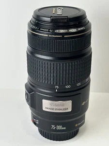 Canon EF 75-300mm f/4-5.6 IS USM Lens - Picture 1 of 6