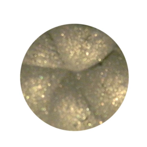 PURE ESSENTIALS BARE EYE SHADOW MAKEUP MINERALS - ENVY - 10G Sifter Jar - Image 1 of 1