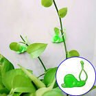 20pcs/set Green Dill Fixer Self-adhesive Garden Tool  Plant Climbing