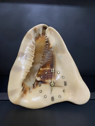 Unusual conch shell clock, works Cover