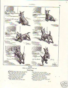1925 Robert Dickey - Scottish Terrier's new family - Picture 1 of 1