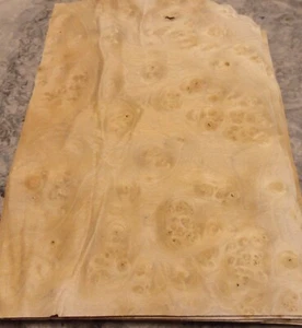 Pimento Ahorn Pfefferholz Wurzelholz Furnier 8" x 10" roh keine Unterlage 1/64" dick - Bild 1 von 2