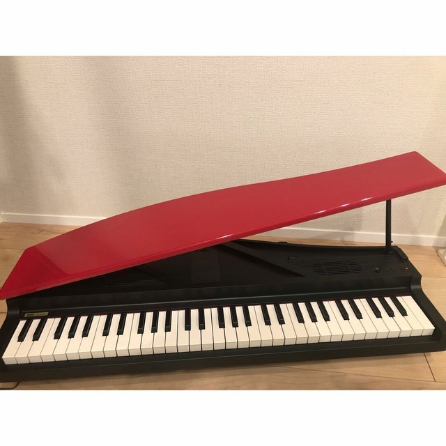  Korg, 88-Key Digital Pianos-Home (L1PWHITE) : Musical