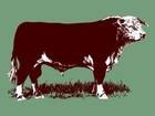 Texas Hereford Association New Metal Sign: 9x12" Ships Free