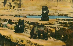 Postal Bear Pit San Antonio Zoo Texas lino sin publicar - Imagen 1 de 2