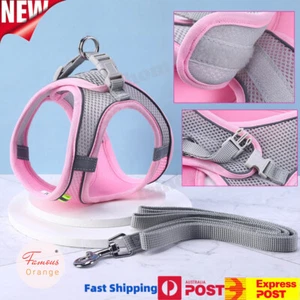 Small Dog Harness Front Range Adjustable Puppy Pet Vest Mesh Cat Leash Adventure - Picture 1 of 15