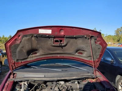 Ford Freestar 2004-2007 capó OEM P099N Foto 1 de 4