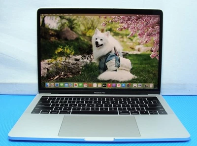 Apple MacBook Pro 13 A1706 Mid-2017 i5-7267U 3.1Ghz 8GB 256GB MPXV2LL/A Silver - Image 1 of 4