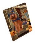 Halloween Trick Or Treat Dog Cat Pet Photo Refrigerator Magnet 11.5X17.6 In