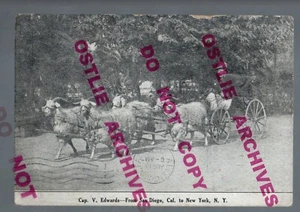 1909 CROSS COUNTRY TRAVELER Walker GOAT CART Cap. V. Edwards SAN DIEGO NEW YORK - Picture 1 of 2