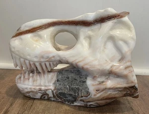 Tyrannosaurus Rex Sculpture Carved Dinosaur Skull Mexican Agate 4 Lbs 10 Oz - Picture 1 of 11