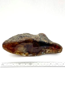 Muestra pulida ámbar dorado mexicana natural - 139,05 g (4,9 oz) - Imagen 1 de 2