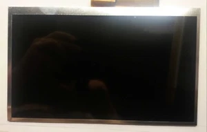 Thomson TEO-QUAD10BK16E LCD Screen Replacement Part - Picture 1 of 2