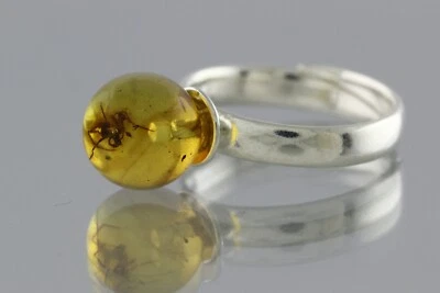 Anillo Ajustable Plata Redondo Ámbar Báltico Genuino Araña Fósil 2.8g 200407-14 Foto 1 de 4