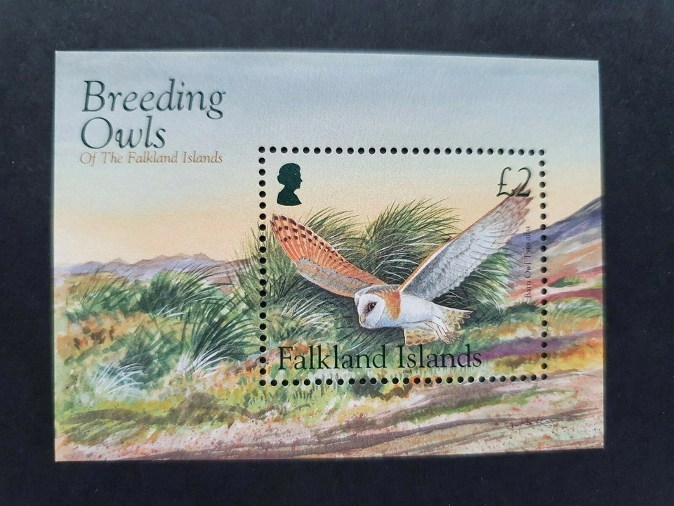 Falkland Is 2004 Owls MS , MNH - Image 1 of 1