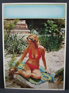 Vintage Girl Red Bathing Suit Calendar Art Print "Summer Thoughts" Old Stock - Picture 1 of 1