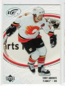 Tony Amonte 05-06 Upper Deck Ice Base Common #17 Calgary Flames - Picture 1 of 1