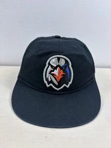 Gorra Hudson Valley Renegades con correa trasera juvenil negra MILB béisbol OC deportes - Imagen 1 de 9