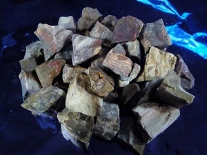 LEGNO FOSSILE SILICIZZATO Grezzo Minerali Cristalloterapia CHAKRA REIKI WICCA Ki - Imagen 1 de 3