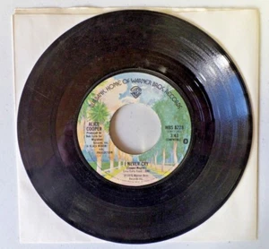 Alice Cooper GO TO HELL / I NEVER CRY 45RPM Vinyl 7" Record 1976 Warner Bros. - Picture 1 of 4