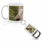 Mug & Bottle Opener-Keyring-set - Capybara Swimming Family   #21314