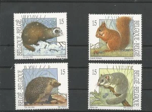 Belgien Tiere - Bild 1 von 1
