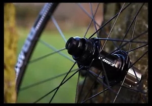 HANDBUILT Erase Titanium CL disc DT Swiss RR481 Alpina Extralite wheels - Picture 1 of 4
