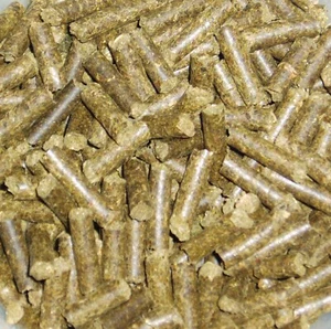 [4,99€/100g] 100g OREGANO STICKS Pellets für Garnelen Garnelenfutter Fischfutter - Bild 1 von 2