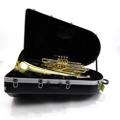 Eastman модель EBB534 профессиональный BBb 4/4 поршневой клапан туба как новый - Изображение 1 из 4