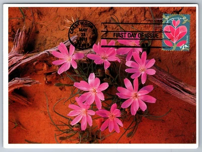#4531 Garden of Love Pink Flower FDC Maxi Card - Image 1 of 2
