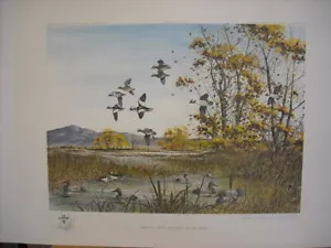 David Hagerbaumer Gran Cuenca Cabezas de Búfalo Notación y Estampado Artístico Tule - Imagen 1 de 2