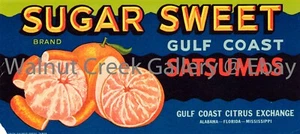 Gulf Coast Fruit Crate Label Fine Art Print, Citrus , approx 13.8"x 6.2" 12971 - Picture 1 of 1