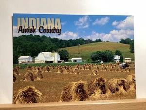 Gavillas de curado de grano en el campo: país Amish, Indiana - postal de colección - Imagen 1 de 3