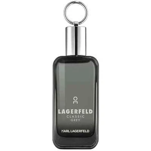 Karl Lagerfeld Karl Lagerfeld Clásico Gris 50/100 ml Eau De Toilette Nuevo y Precintado - Imagen 1 de 1