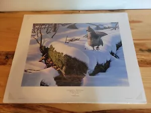 1995 Frank Mittelstadt signierter Druck 62/90 A.P. Cardinal Nature 24" x 17 1/2" - Bild 1 von 12