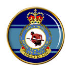 3 Escuadrón Rnzaf New Zealand Air Force Pin Insignia