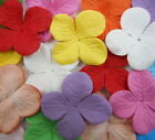 3.25cm Hydrangea Die Cut Paper Flower Scrapbook Cardmaking Embellishments P8