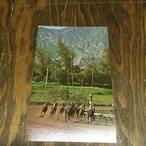 Vintage Santa Anita park horse racing picture unused postcard travel souvenir Cover