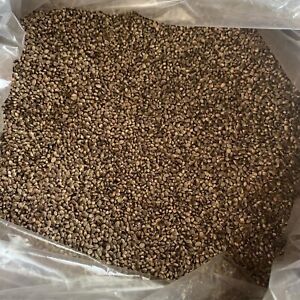 1/2 Pound - Industrial Raw Hemp Grain Seeds