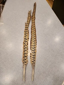 X-25 Emparejado Pr Híbrido Cuello Anillo Reeves Cruz Cola Faisán Pluma - Imagen 1 de 3